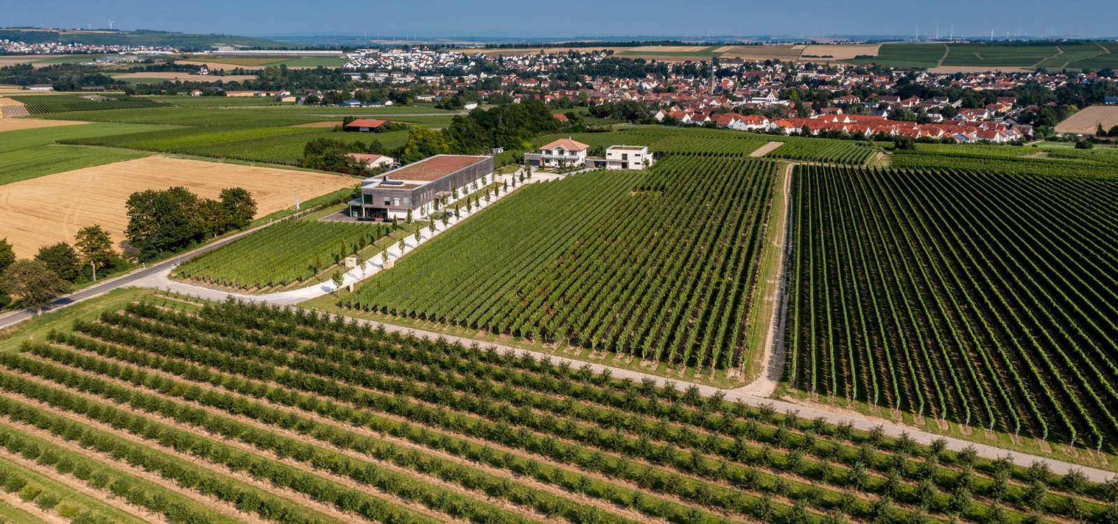 Saulheimer Hölle