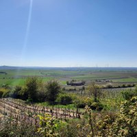 Schanzenberghütte Weinolsheim 4 © TSC Rhein-Selz