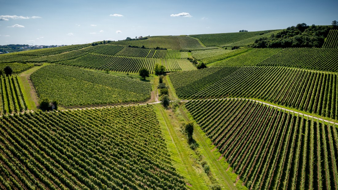 Gau-Bischofsheimer Glockenberg