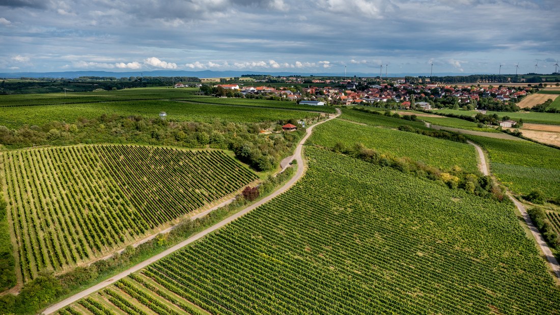 Weinolsheimer Kehr