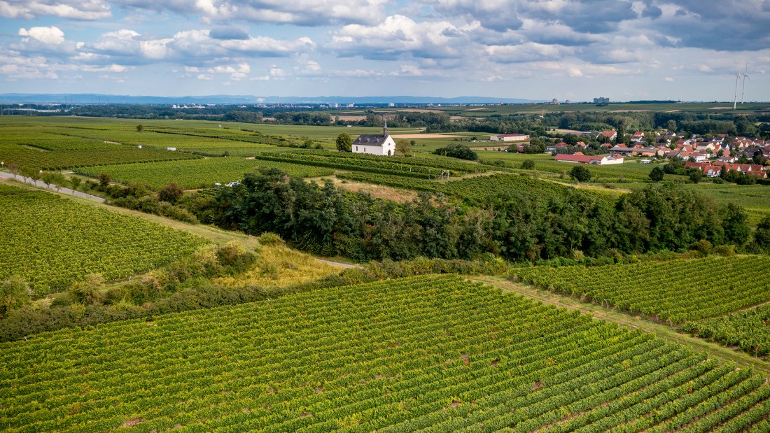Abenheimer Klausenberg, &copy; Torsten Silz