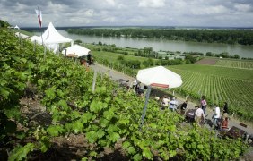 Weinpräsentation © Ullrich Knapp