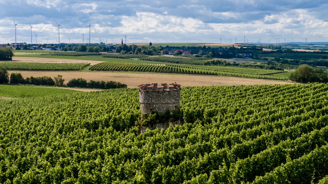 Ober-Fl&ouml;rsheimer Bl&uuml;cherpfad