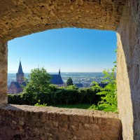 Burgruine Landskron in Oppenheim_3 © Katja Zentel, Rheinhessen-Touristik GmbH
