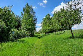 ViaNatura Hahnheim &copy; TSC Rhein-Selz