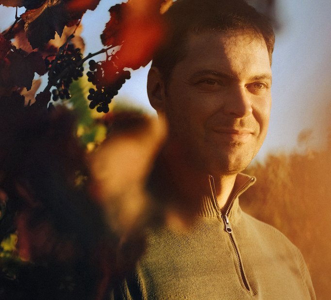 Lorenz_in_Weinrebe, © Weingut Lorenz