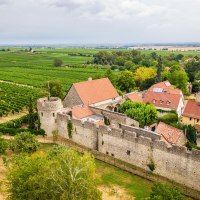 Die Fleckenmauer © Dominik Ketz/Rheinhessen-Touristik