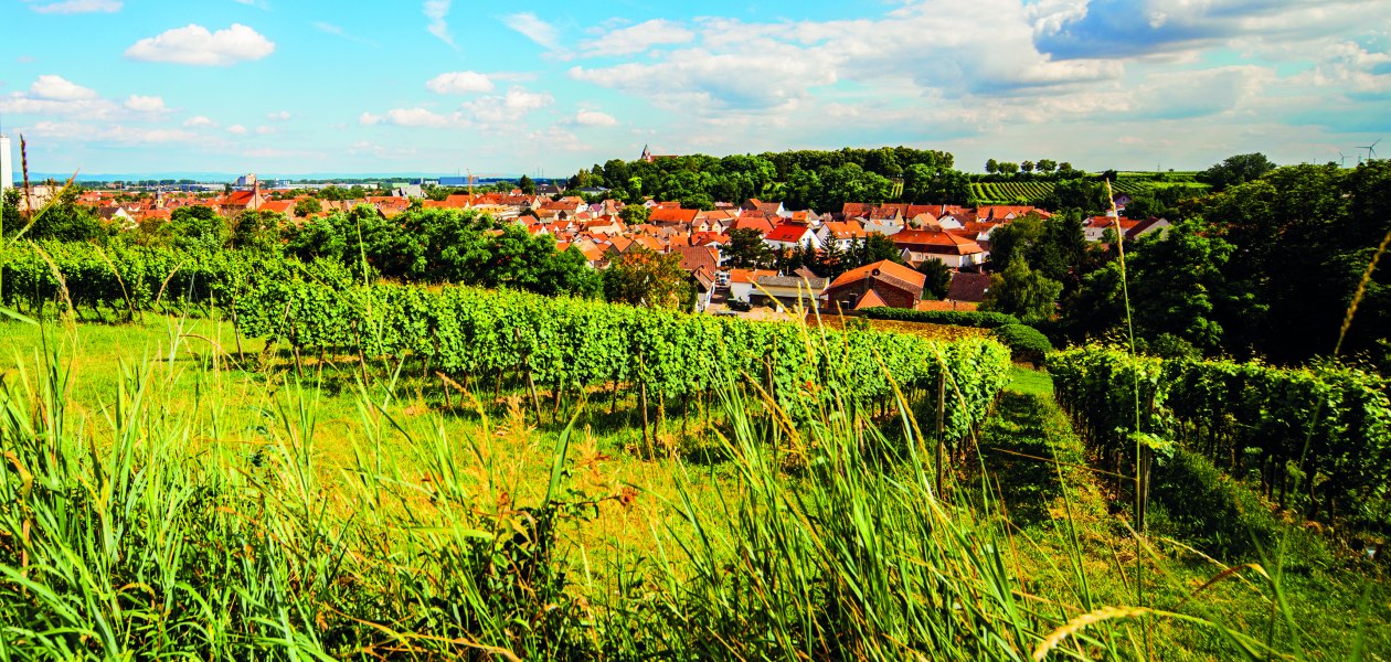 Weingut Steinm&uuml;hle_Ort, &copy; Weingut Steinm&uuml;hle