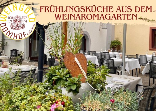 Domhof erleben &copy; Weingut Domhof