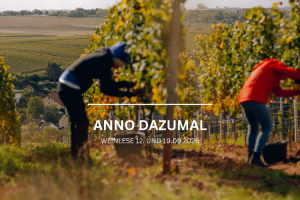 Weinlese Weingut Gehring, &copy; Weingut Gehring