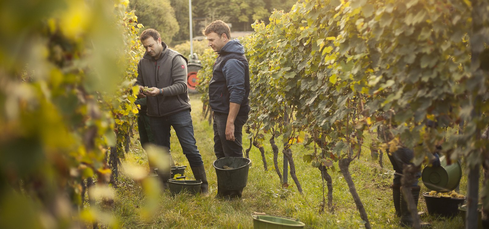 Weingut Karl May_Winzer 2, &copy; Weingut Karl May