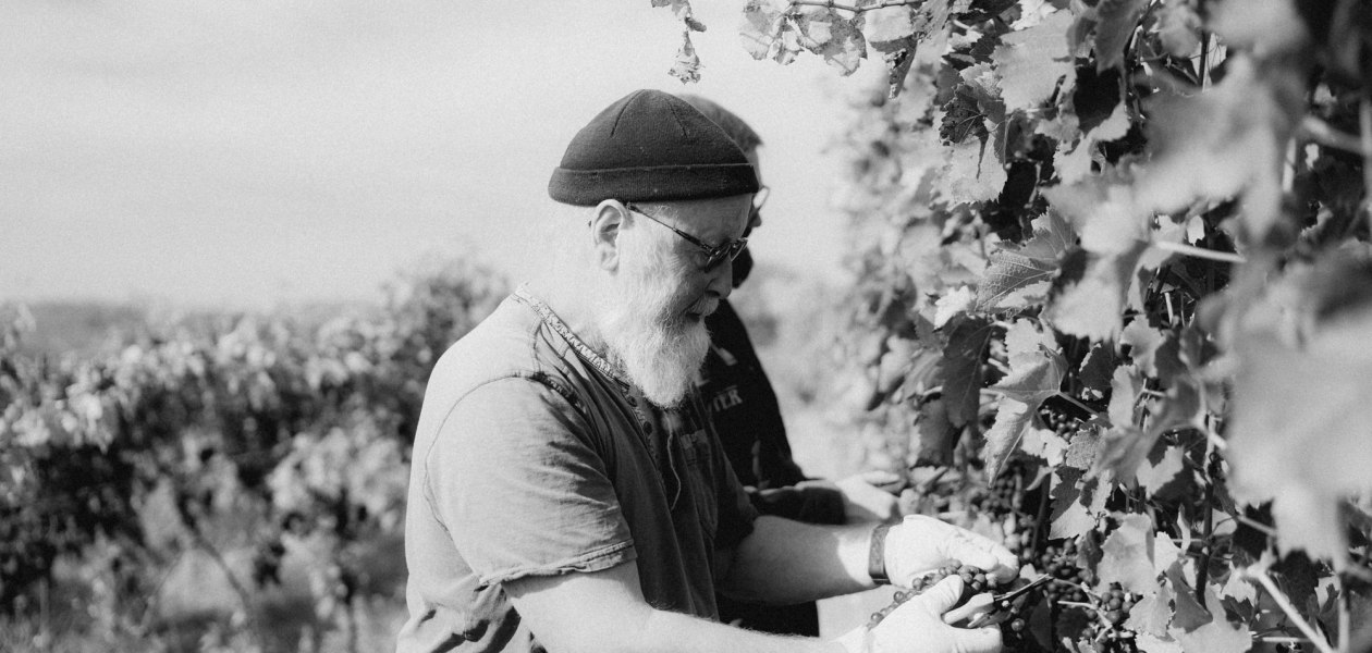 &Ouml;kologischer Weinbau Huster_Raimund Huster, &copy; &Ouml;kologischer Weinbau Huster