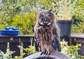 Kultur um 8_Januar 2026, &copy; Nikolaus Strupp