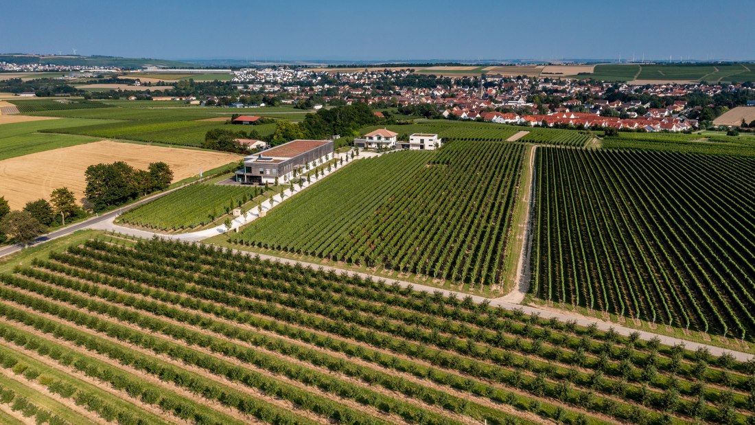 Saulheimer Hölle