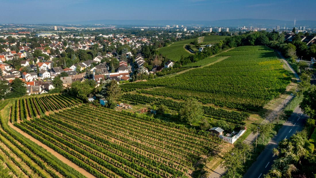 Hechtsheimer Kirchenst&uuml;ck