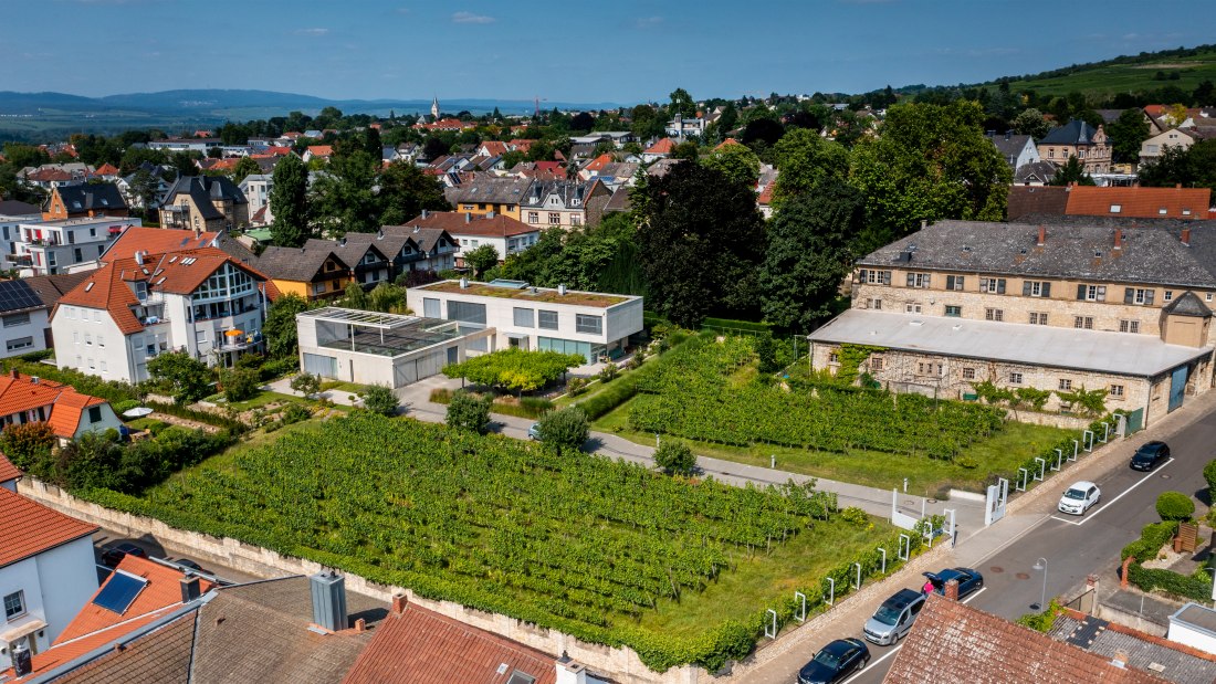 Ingelheimer Sonnenberg-DJI_0028.DNG, &copy; Torsten Silz