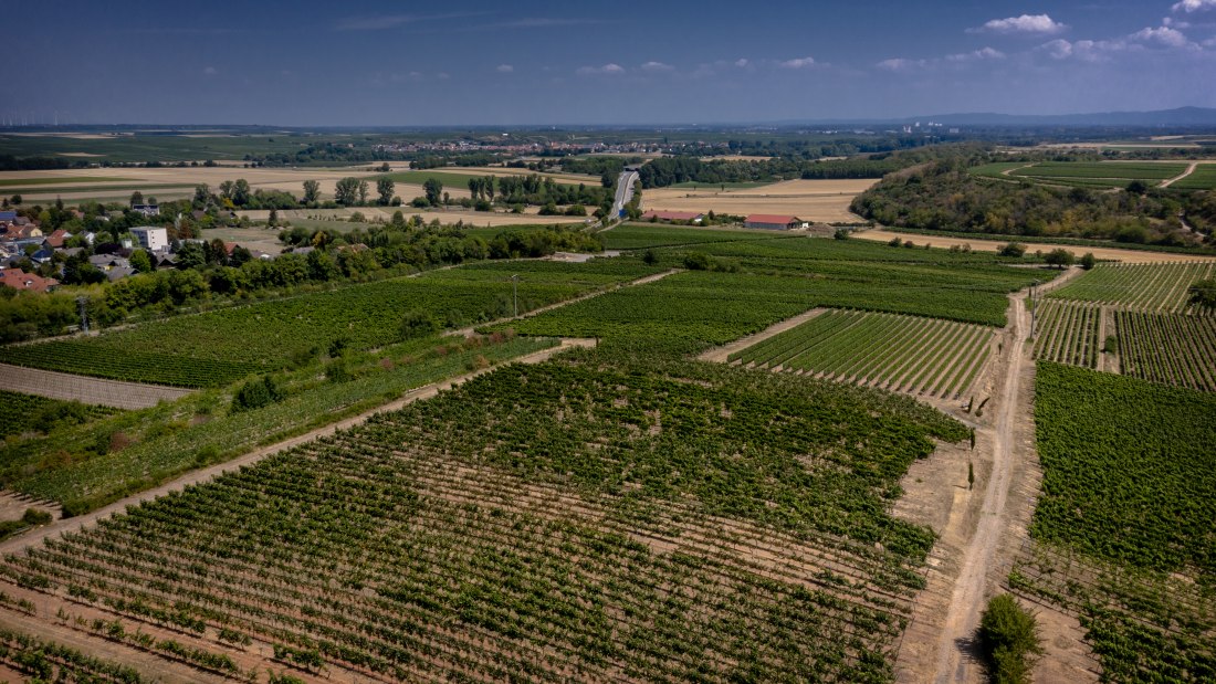 M&ouml;rstadter Nonnengarten