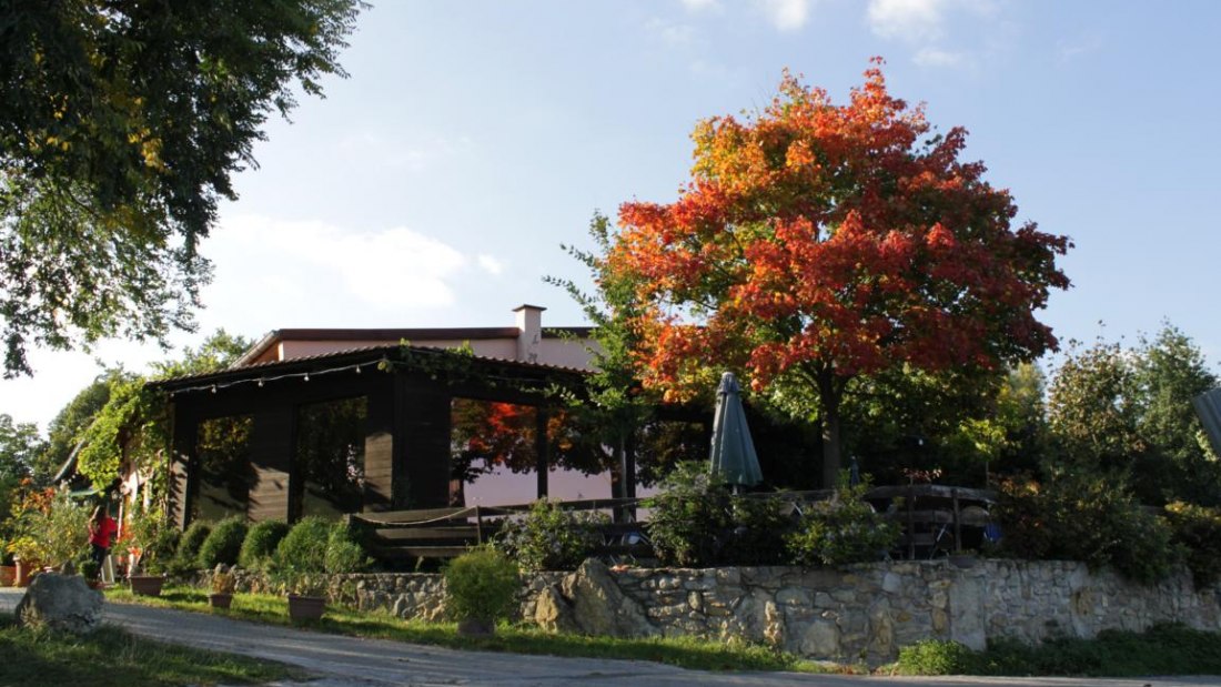 Weingut Rheinterrassenhof_Au&szlig;en, &copy; Weingut Rheinterrassenhof