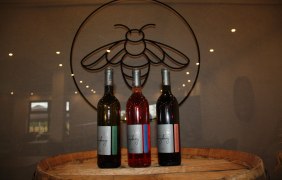 Weinprobe © Familie Best