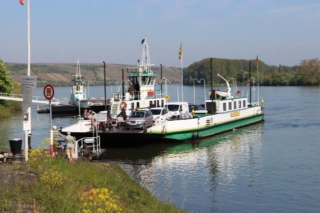 F&auml;hre mit mehreren Fahrzeugen auf einem Fluss, umgeben von gr&uuml;ner Landschaft und H&uuml;geln im Hintergrund