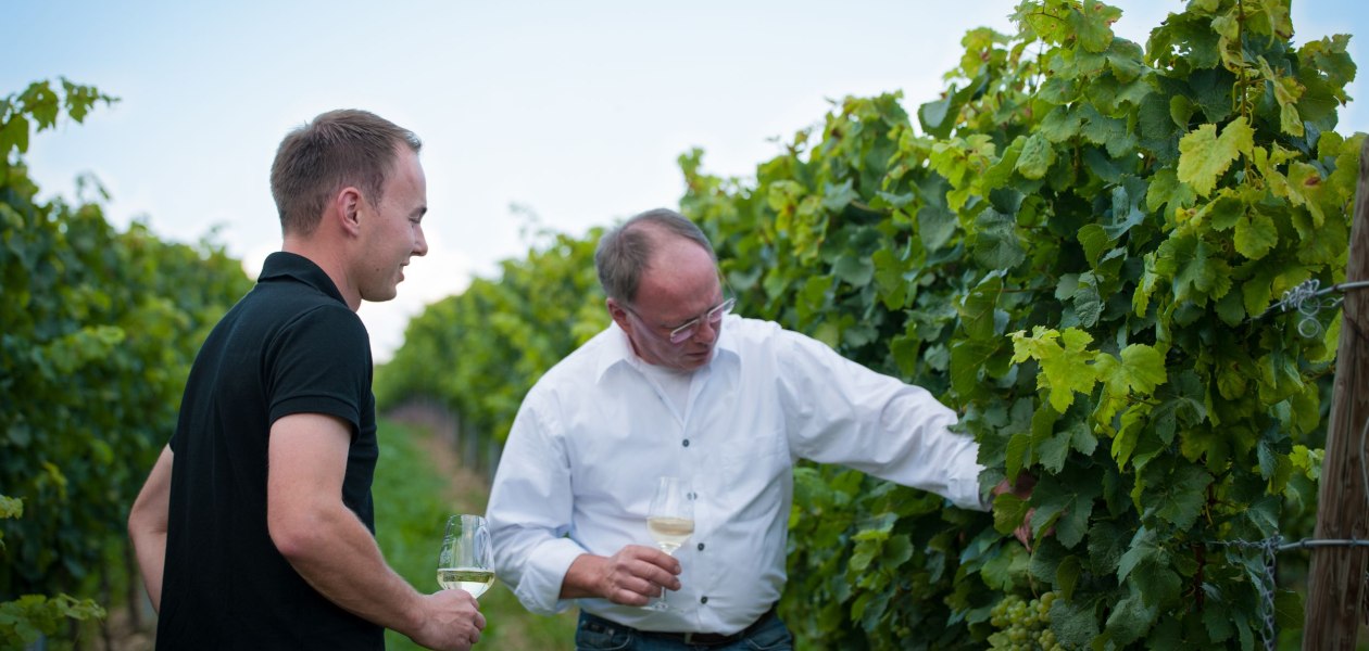 Weingut_Fritzsch_Sprendlingen_k