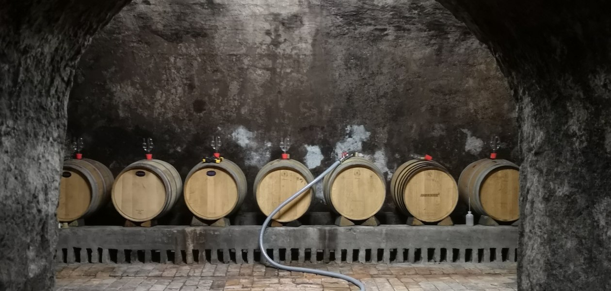 Weingut Dr. Alex Senfter_Keller, &copy; Weingut Dr. Alex Senfter