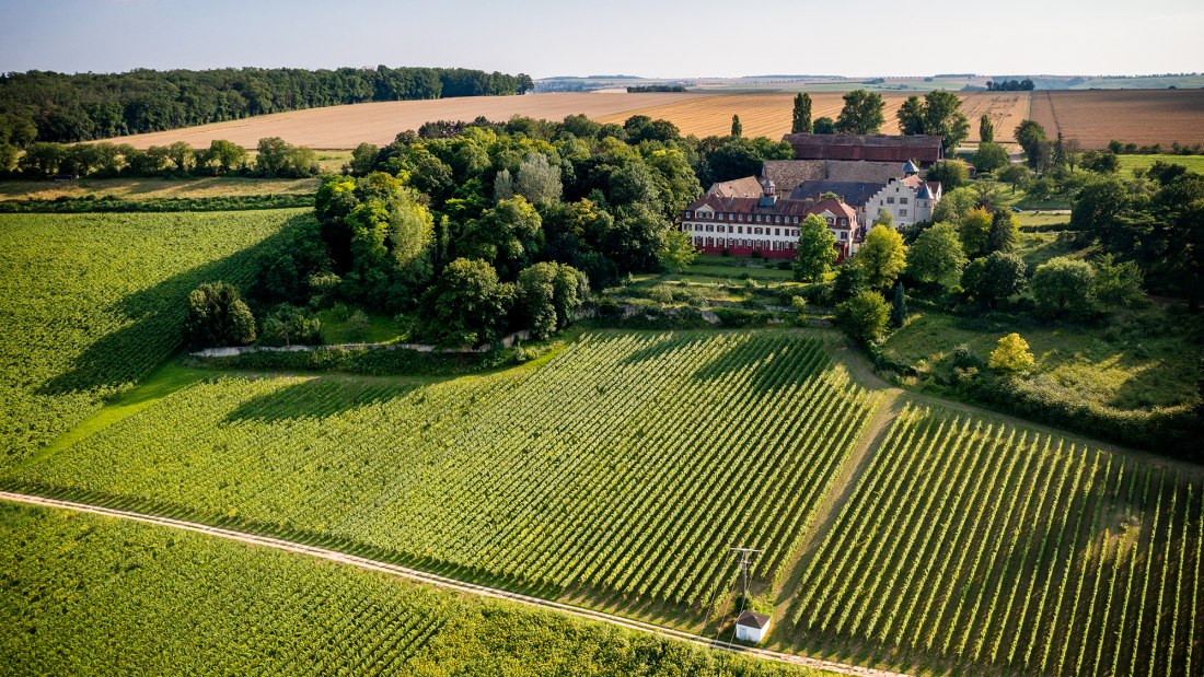 Ingelheimer Schloß Westerhaus
