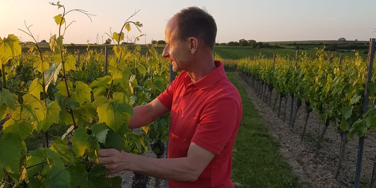 Weingut Johann P. Beyer_Winzer, &copy; Weingut Johann P. Beyer