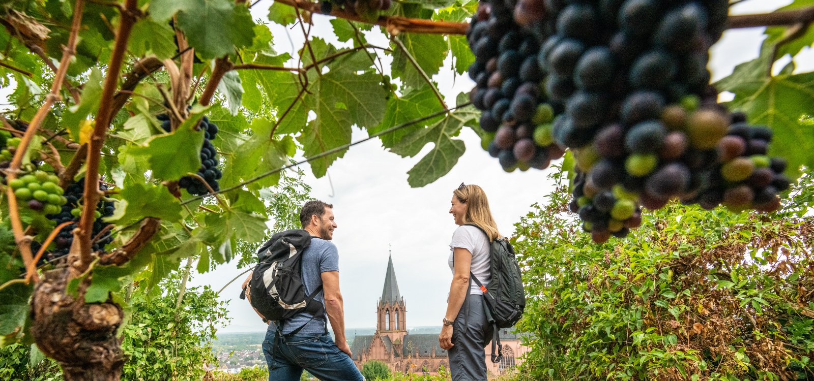 Ein Paar wandert durch die Weinberge und genießt dabei den Ausblick auf die Katharinenkirche in Oppenheim., © Dominik Ketz, Rheinhessen-Touristik GmbH