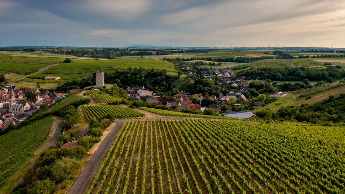Niersteiner Schloß Schwabsburg