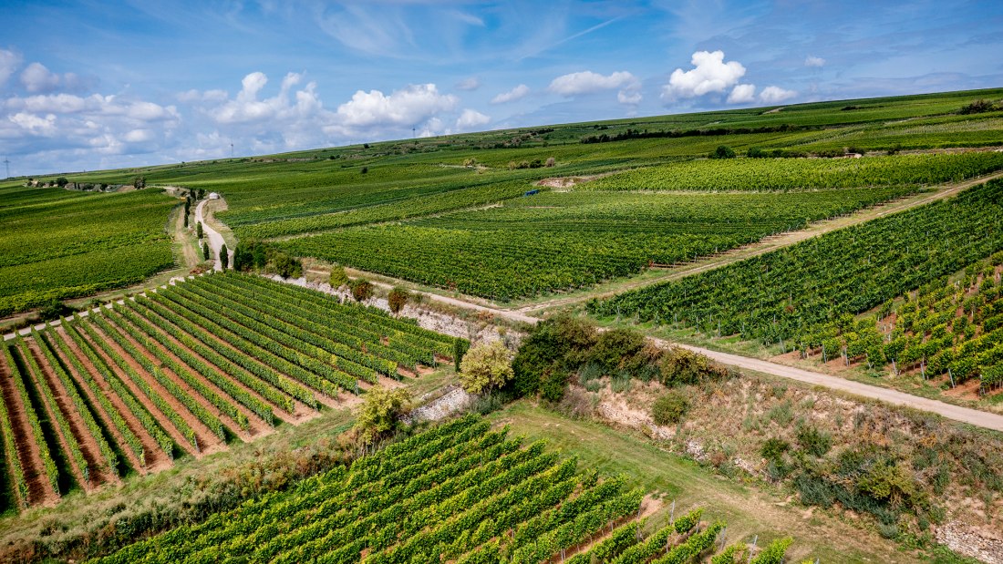 Westhofener Brunnenh&auml;uschen