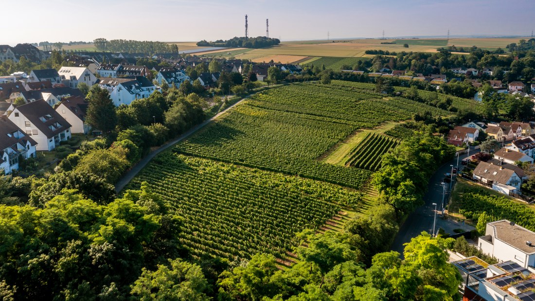 Hechtsheimer Kirchenst&uuml;ck