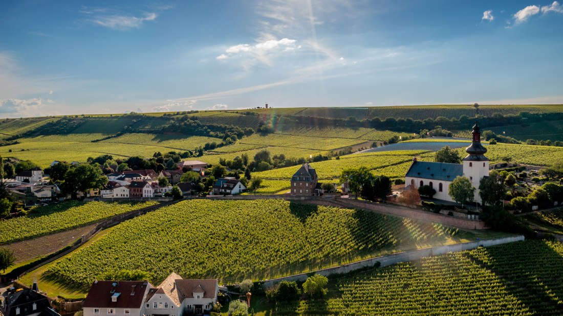 Niersteiner Glöck