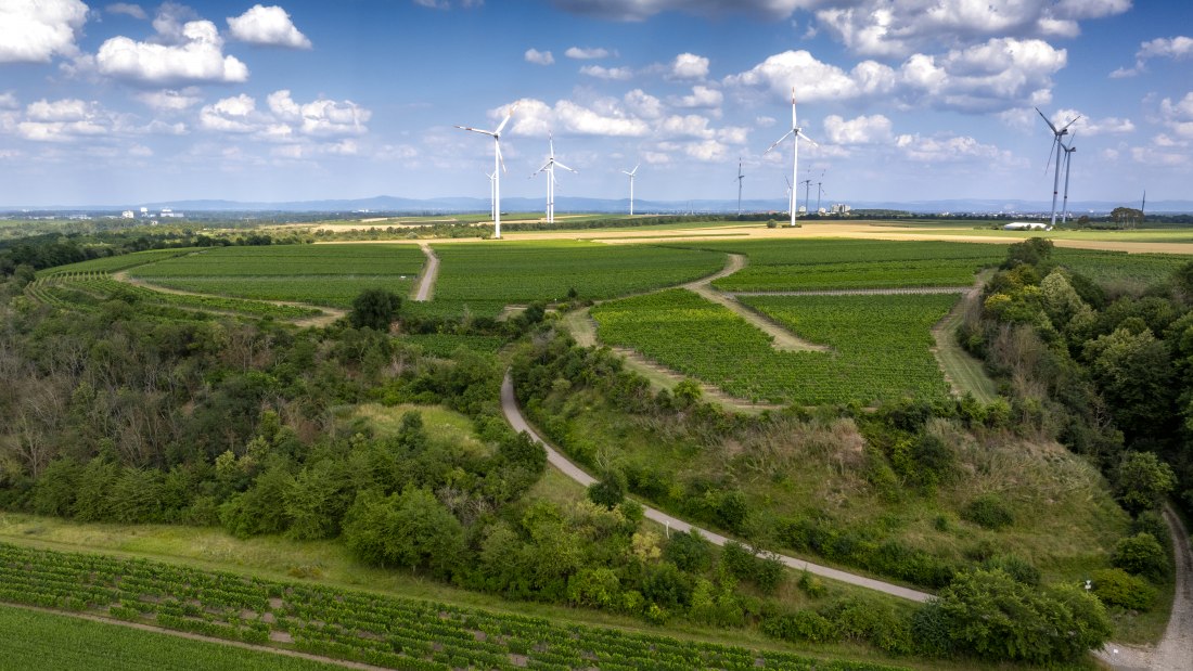 M&ouml;rst&auml;dter Katzebuckel, &copy; Torsten Silz