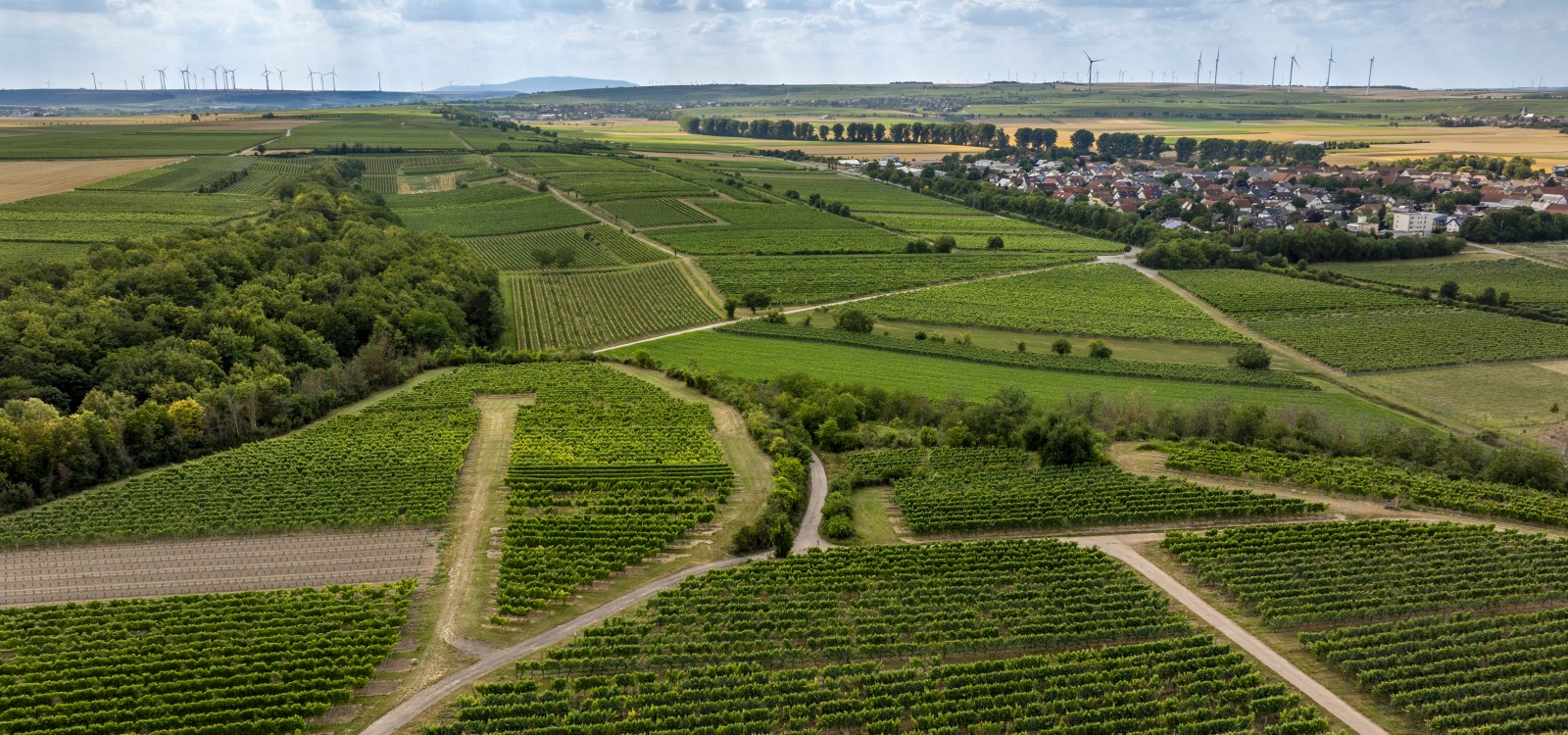 M&ouml;rst&auml;dter Katzebuckel, &copy; Torsten Silz