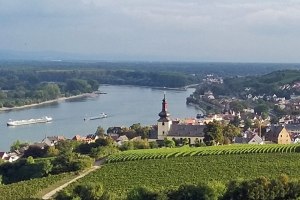 Ausblick auf Nierstein, © Hans Bürkle