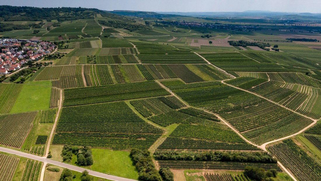 Ockenheimer Hockenm&uuml;hle