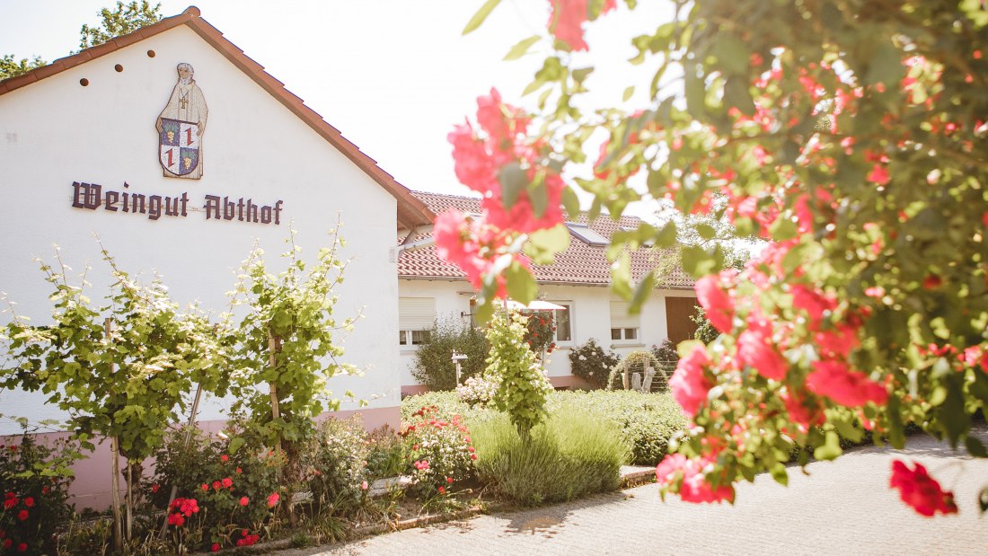 Weingut-Abthof-Juni-2021-DRUCK-203, &copy; Weingut Abthof