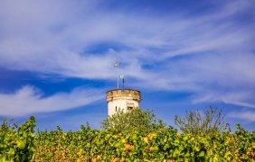 Wartturm Nierstein © www.inmedia.info