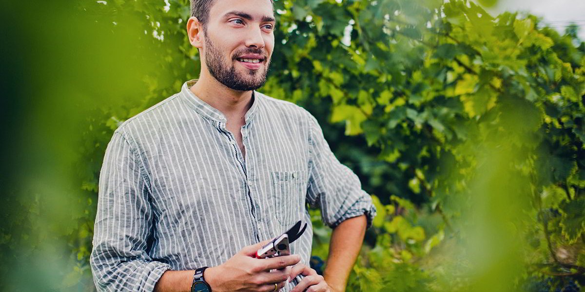 Weingut Gebert_Kellermeister Paul Krahl im Weinberg, &copy; Weingut Gebert