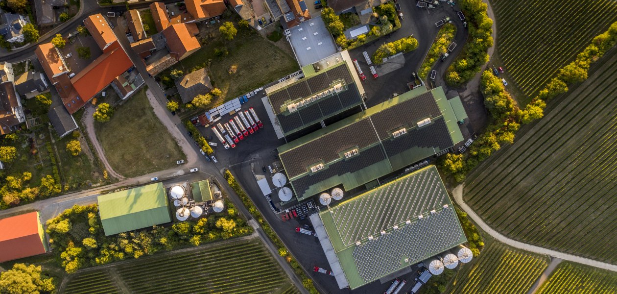 J. Trautwein feine Weine_Weingut, &copy; Fotografie Torsten Silz