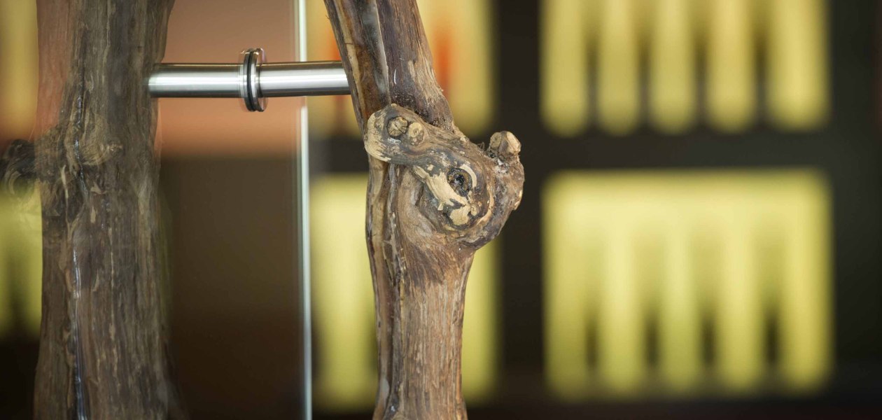 SPIESS WEINMACHER_Rebe, &copy; SPIESS WEINMACHER - Haus Eichrodt