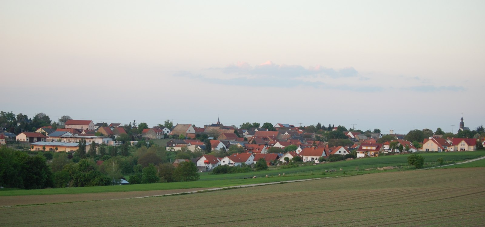 Weinolsheim, © Rhein-Selz Tourismus e. V.